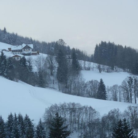 Rainzhof Hotel Айх Екстериор снимка